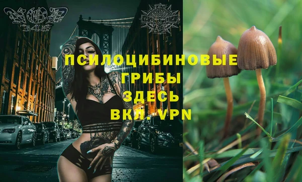 ПСИЛОЦИБИНОВЫЕ ГРИБЫ Баксан