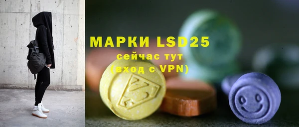 ПСИЛОЦИБИНОВЫЕ ГРИБЫ Баксан