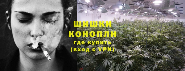 ПСИЛОЦИБИНОВЫЕ ГРИБЫ Баксан