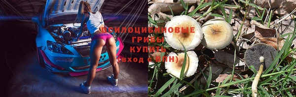 стафф Балахна