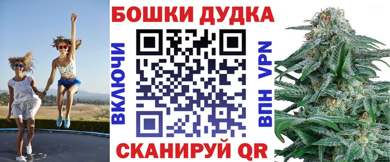 Бошки Шишки марихуана  Болохово 